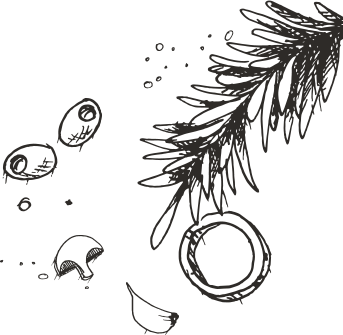 bg